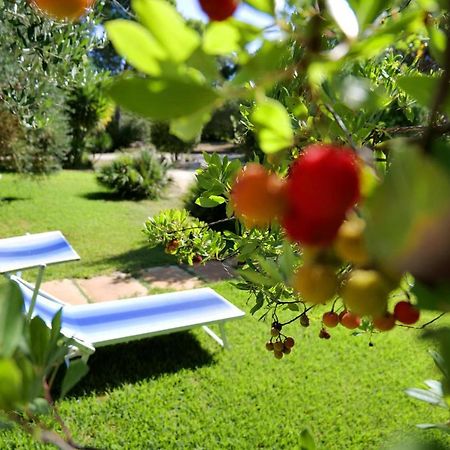 אלימיני Missipezza Residence A Frassanito מראה חיצוני תמונה